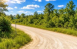 Will Jones Rd, Vinegar Bend, AL 36584