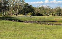 MUSA ROAD, NORTH PORT, FL 34286