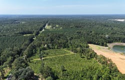 Vacant Attapulgus Highway, Quincy, FL 32352