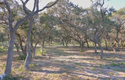 1861 Monkey Rd, ROCKPORT, TX 78382