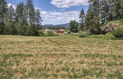 Ehorn Ln, Chewelah, WA 99109