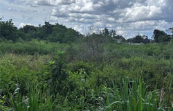 6510 ASPEN LANE, COCOA, FL 32927