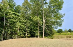 55 Brooks Road, Thorndike, ME 04986