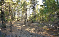 Tierra Bonita S/D, Tierra Amarilla, NM 87575