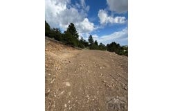 1231 & 124 Keepsake Loop, Westcliffe, CO 81252