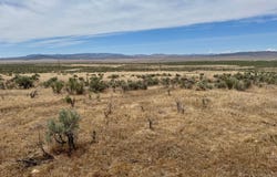 21775 Titanium Avenue, Lovelock, NV 89419