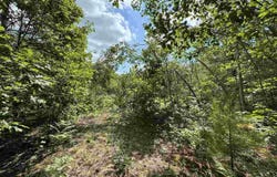 10320 Upper Mograin, Cheboygan, MI 49721