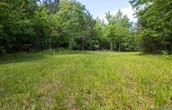 343 County Road 814, Flat Rock, AL 35966
