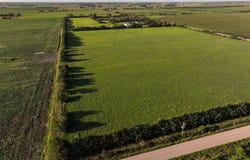 TBD 20th Road, Central City, NE 68826