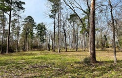 3.48 Roberts Lane, Diboll, TX 75941