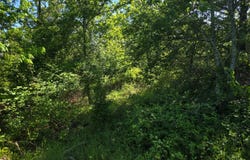 TR 21&22 PINE TREE TRAIL, Albion, OK 74571