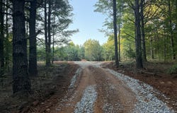 Lot 8 Mud Bridge, The Rock, GA 30285
