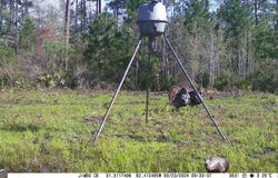 5790 Wooddell Drive, Waycross, GA 31503