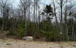 BUTTERNUT CIR lot: 21, Eagle River, WI 54521