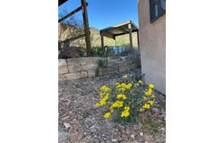 225 Echo E Rd Terlingua Ranch, Terlingua, TX 79852