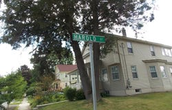 16 Harold St, Pittsfield, MA 01201