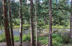 805 COLUMBINE ROAD, Breckenridge, CO 80424