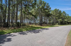 2862 Vanderbilt Blvd., Pawleys Island, SC 29585