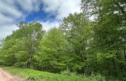 Woodland Hills Road, Andes, NY 13731