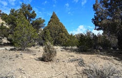 00 CR 322, Tierra Amarilla, NM 87575