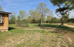 1566 Wallace Loop, Ravenden Springs, AR 72460