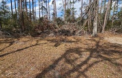 614 Sheavette Road, Lake Park, GA 31636