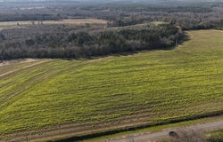 Lot 5 Gilley Mill Road, Headland, AL 36345