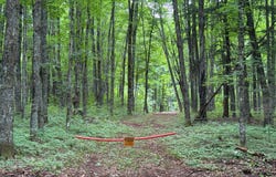 25 A On BEARSKULL RD, Park Falls, WI 54552