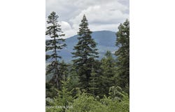 125 Cottage Lane, St. Maries, ID 83861