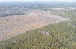 24 acres Goat Hill Rd., Samson, AL 36477