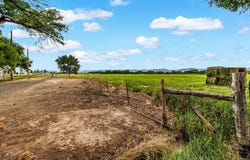 1710 M Road, Fruita, CO 81521