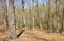 110 Black Knight Trail, Travelers Rest, SC 29690