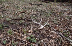 151.68+/- Acres Rattlesnake Road, Cassville, WI 53806