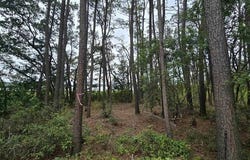 Gillette Pl., Murrells Inlet, SC 29576