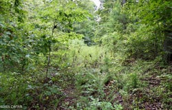 1124 Lick Creek Boat Dock Loop, Parsons, TN 38363
