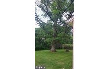 39 LAKEVIEW TERRACE, HANOVER, PA 17331
