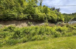 0 KY Route 40 W, Oil Springs, KY 41238