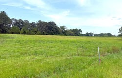 Fairway Drive, Fernwood, MS 39635
