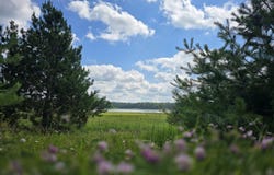 off McCollum Lake Road, Curran, MI 48728