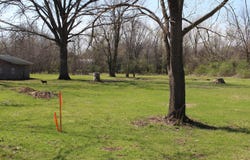 S Caroline Avenue, Bellflower, MO 63333