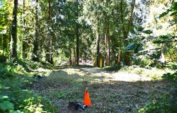 87835 UPLAND St, Springfield, OR 97478