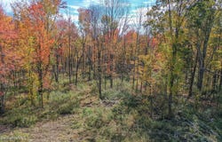 Sisson Hill Rd, New Marlborough, MA 01244