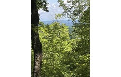 Barton Road, Dayton, TN 37321