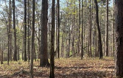 TRACT 1B CHALCREST Way, Cave Spring, GA 30124