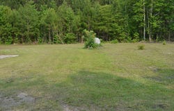 1661 Doughty Road, Summerton, SC 29148