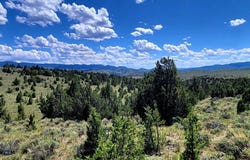 Alder, MT 59710
