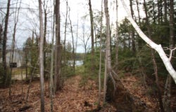 Lot 19-17 Northeast Pond Road, Milton, NH 03851