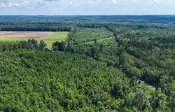 78 Acres County Highway 56, Vina, AL 35593