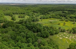 180 Acres +/-, Harrisburg, AR 72432