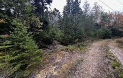 12-3 S Burnt Cove Road, Stonington, ME 04681